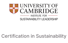 Frame 1984077998 (1)